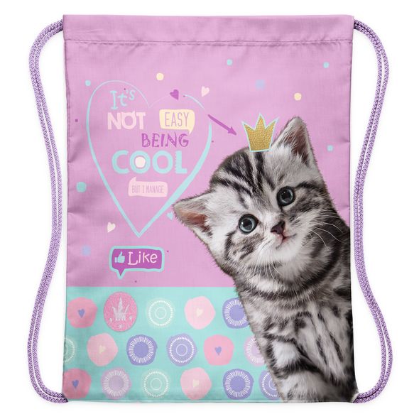 Мешок для сменной обуви Hatber 33х42см 1 отделение -Cool kitty-  в индив.упак. , 